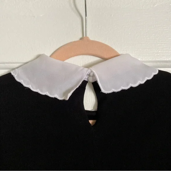 Black Knee-length Elle Dress with Peter Pan Collar - Picture 4 of 7